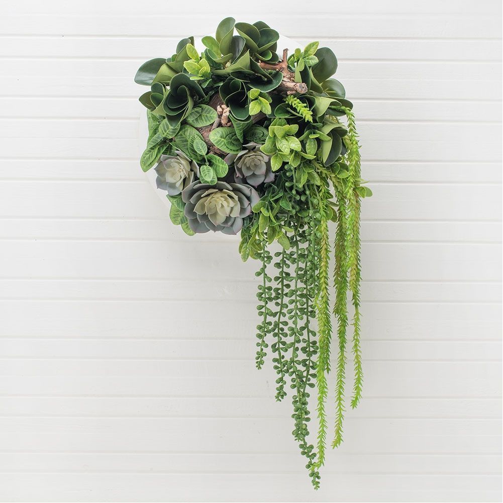 СКК08-4(з.) Композ-я с суккул.в кругл.дерев.кашпо d-30см(голуб) (5)-1001x1001