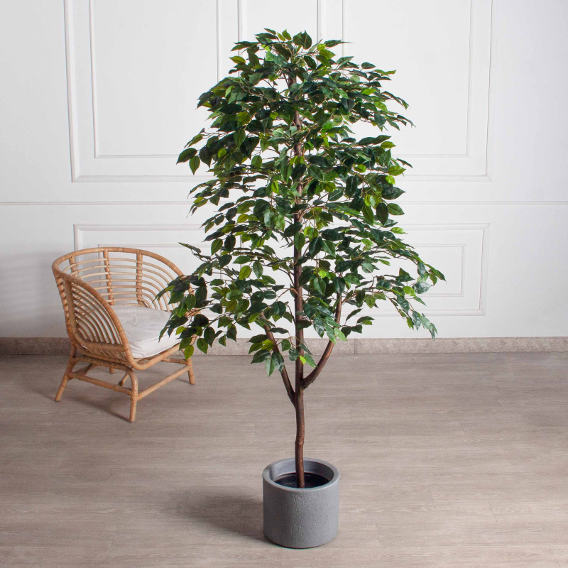 180/РУ/34(Пр)(F) Фикус искусственный разноуровневый h180см, латекс_1