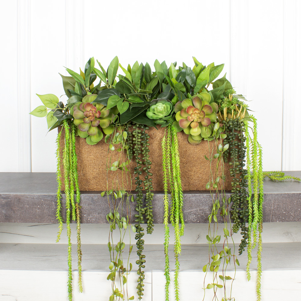 СКК14/7-2(з.) Композиц.из суккул.с зеленью в к.б(50х12х18)_8