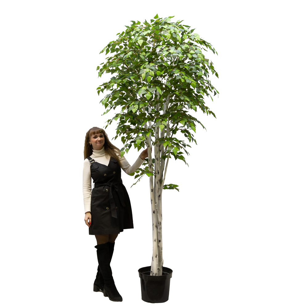 260/РН/12М_3(з) Береза искусственная h260см