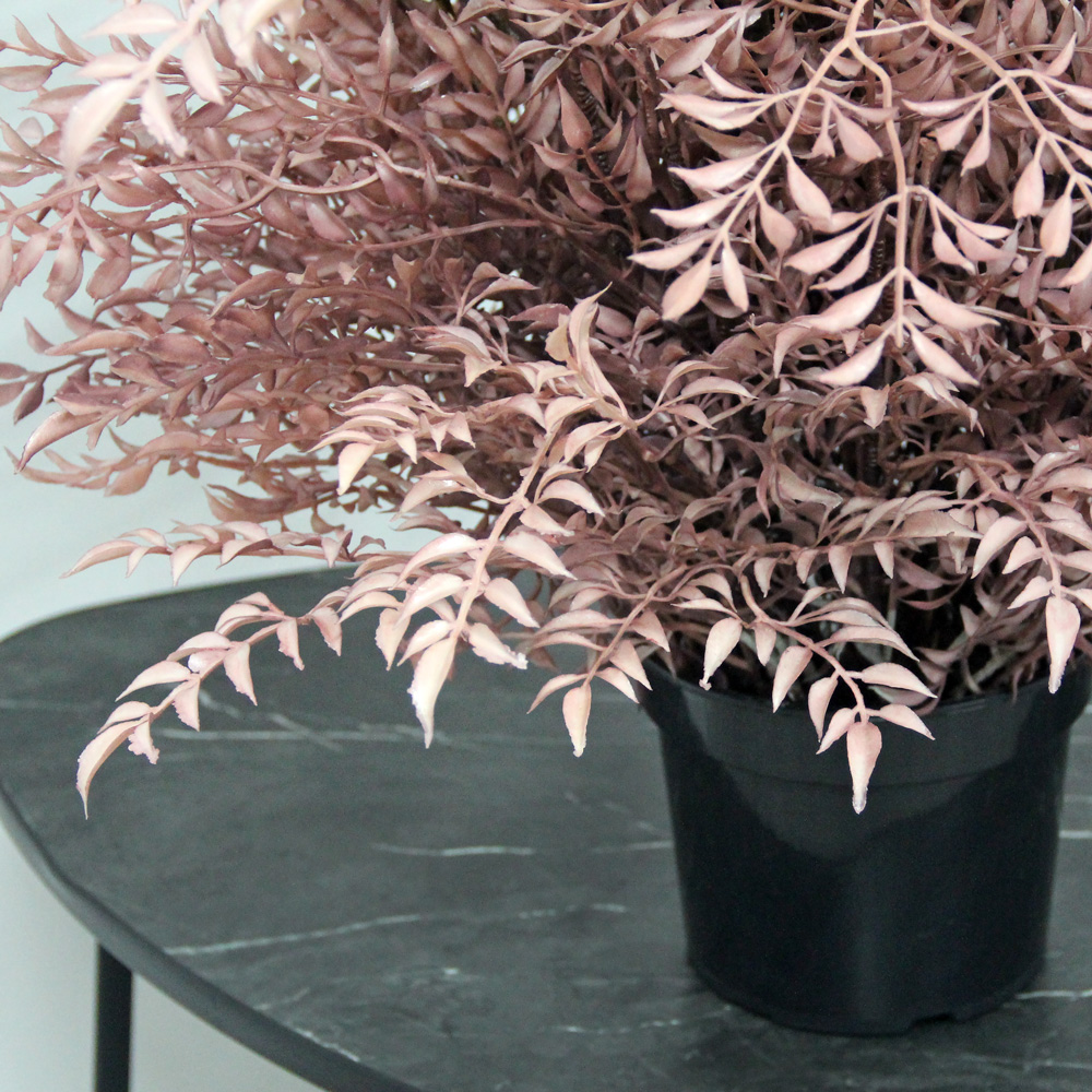 70/РН/489(з.) Дерево искусственное интерьерное h70см, светло-бордовое_2