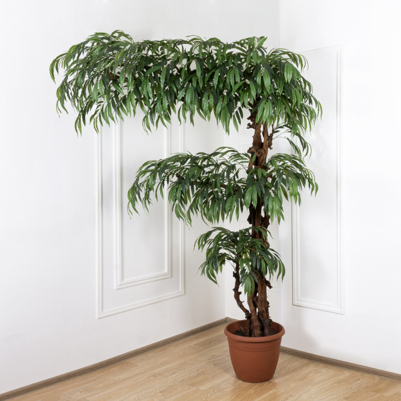 270/3Я/ОС/219(з.) Лонгифолия искусственная h270см, крона 210см_4