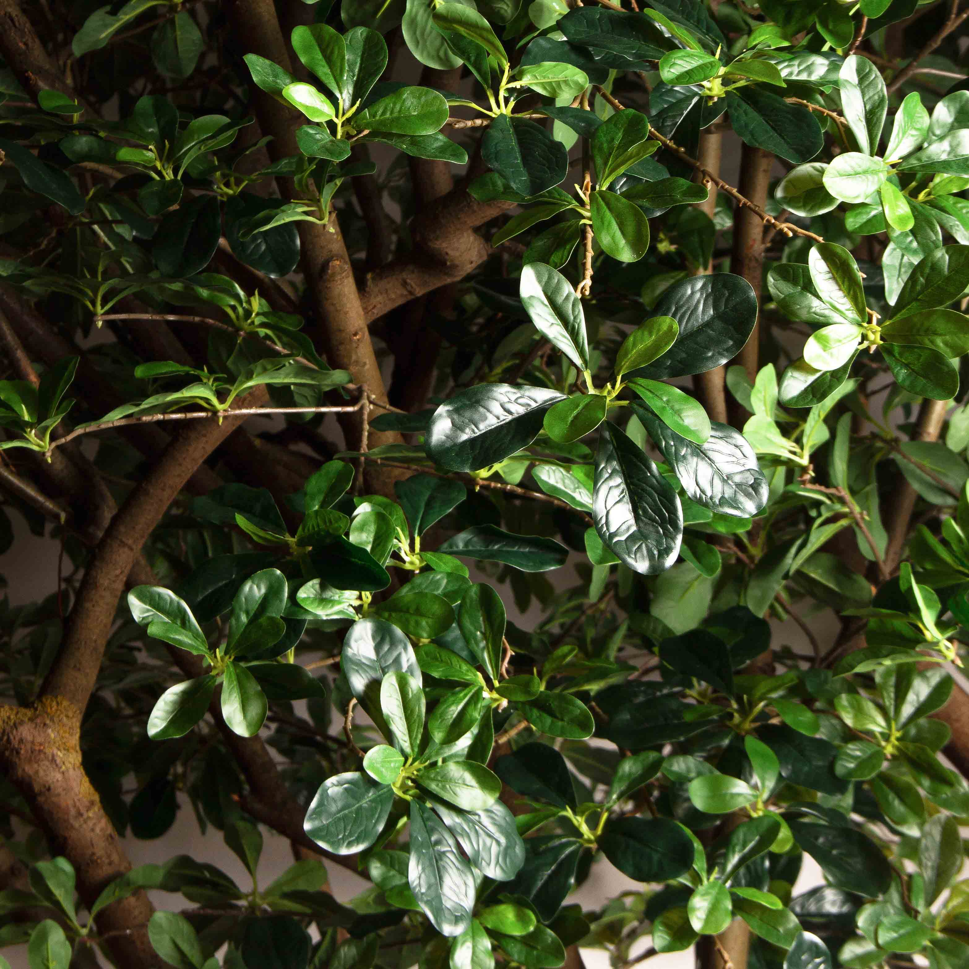 350/РН/84-2(з)(УУ)(Пр)(F) Шеффлера искусственная h350см_5