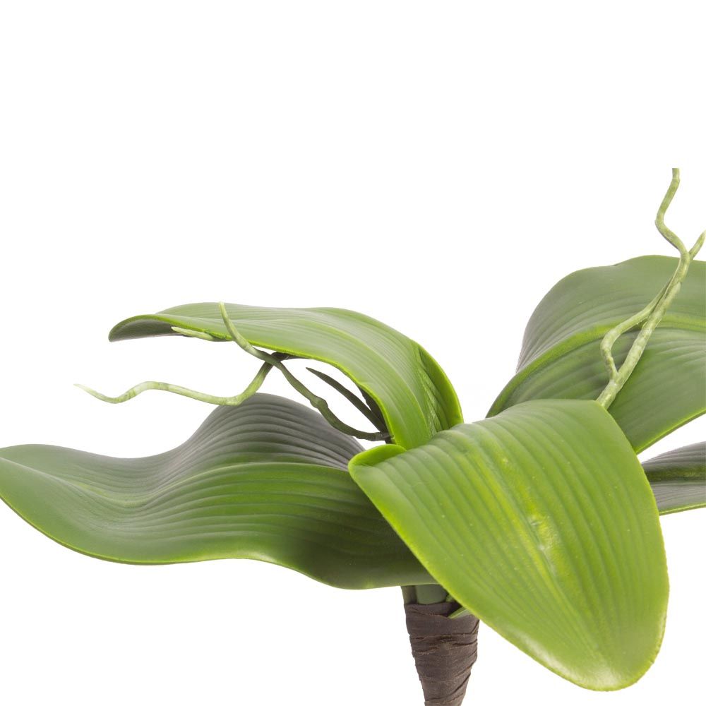 7143/9126-21 Лист для орхидеи (малый)_1