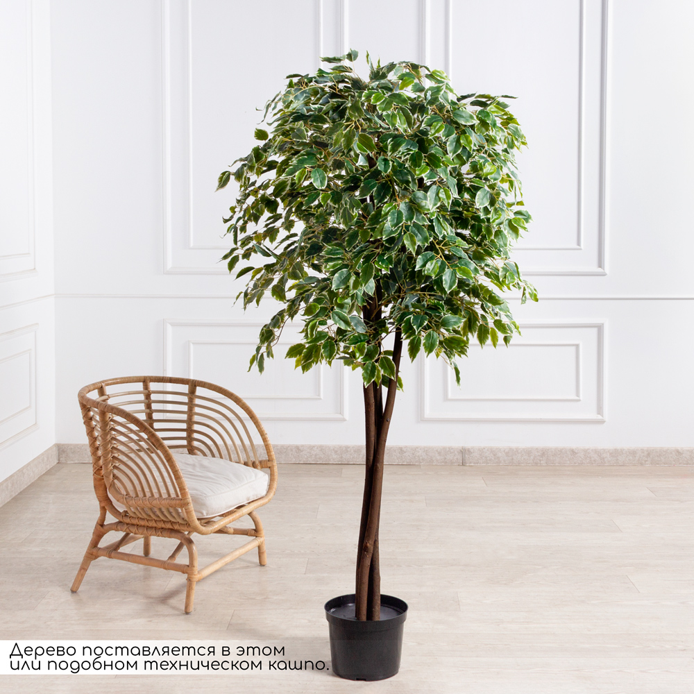 180/РПК/17(Пр)(F) Фикус Бенджамина искусственный h180см (латекс)_1