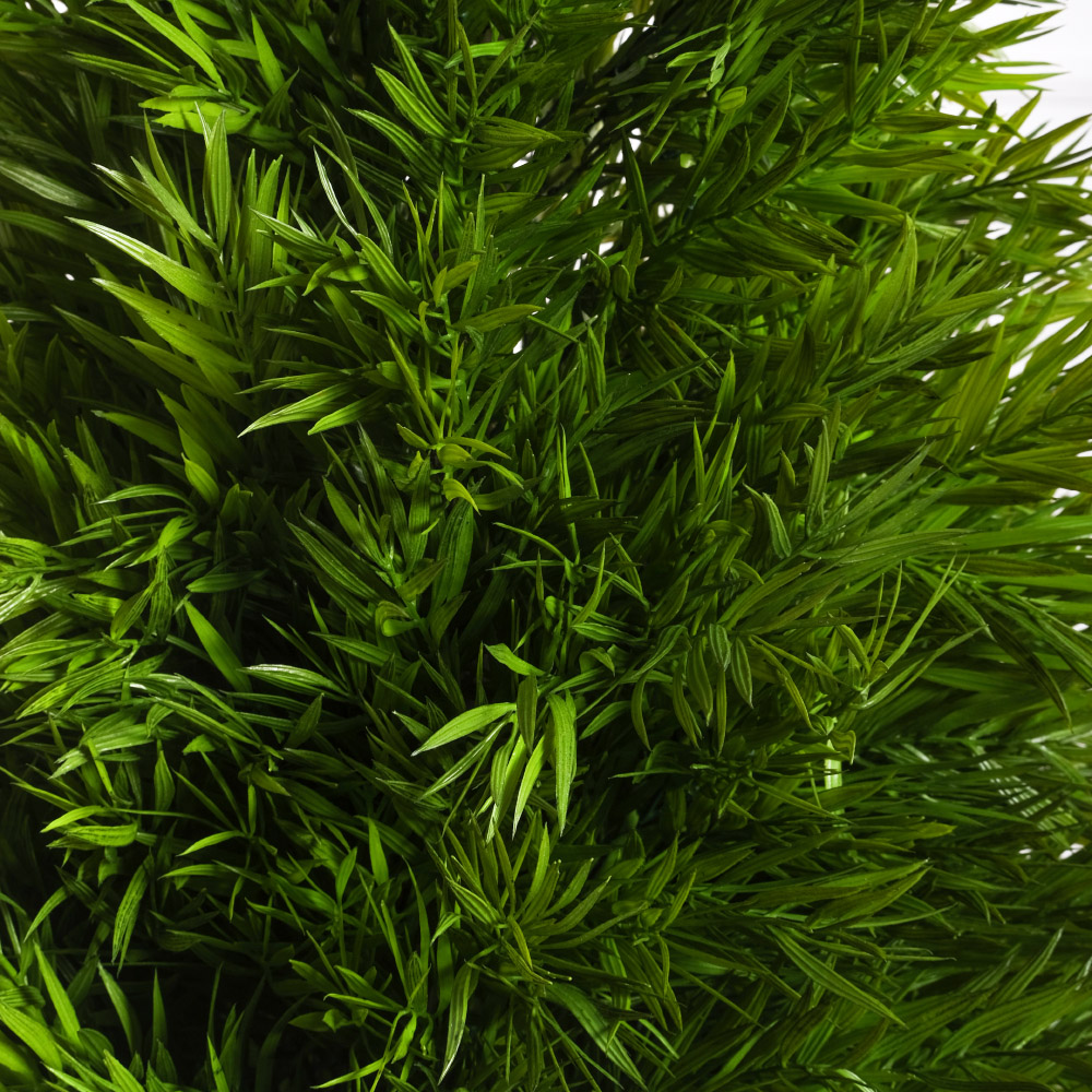 120/ДК/5122(Пр)(F) Погонатерум искусственный конус h120см_5