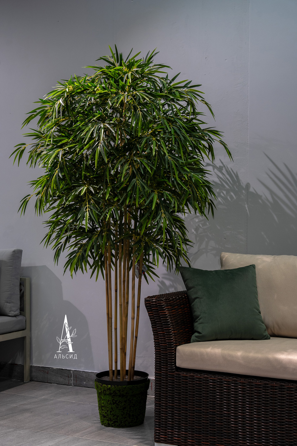 180/75/1-1(з)(F)  Бамбук искусственный 8стволов, h180см (латекс)_7