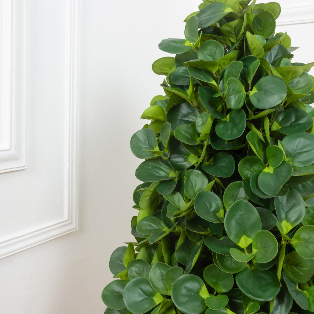 ДК110/473 Питтоспорум искусственный конус h110см_2