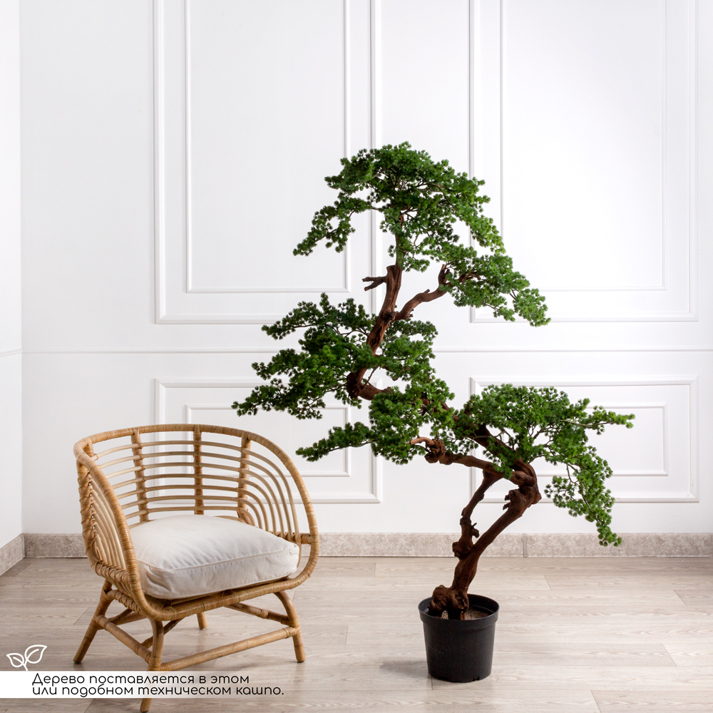 БС165/ОС/427(Пр) Бонсай искусственный Сосна h165см _1