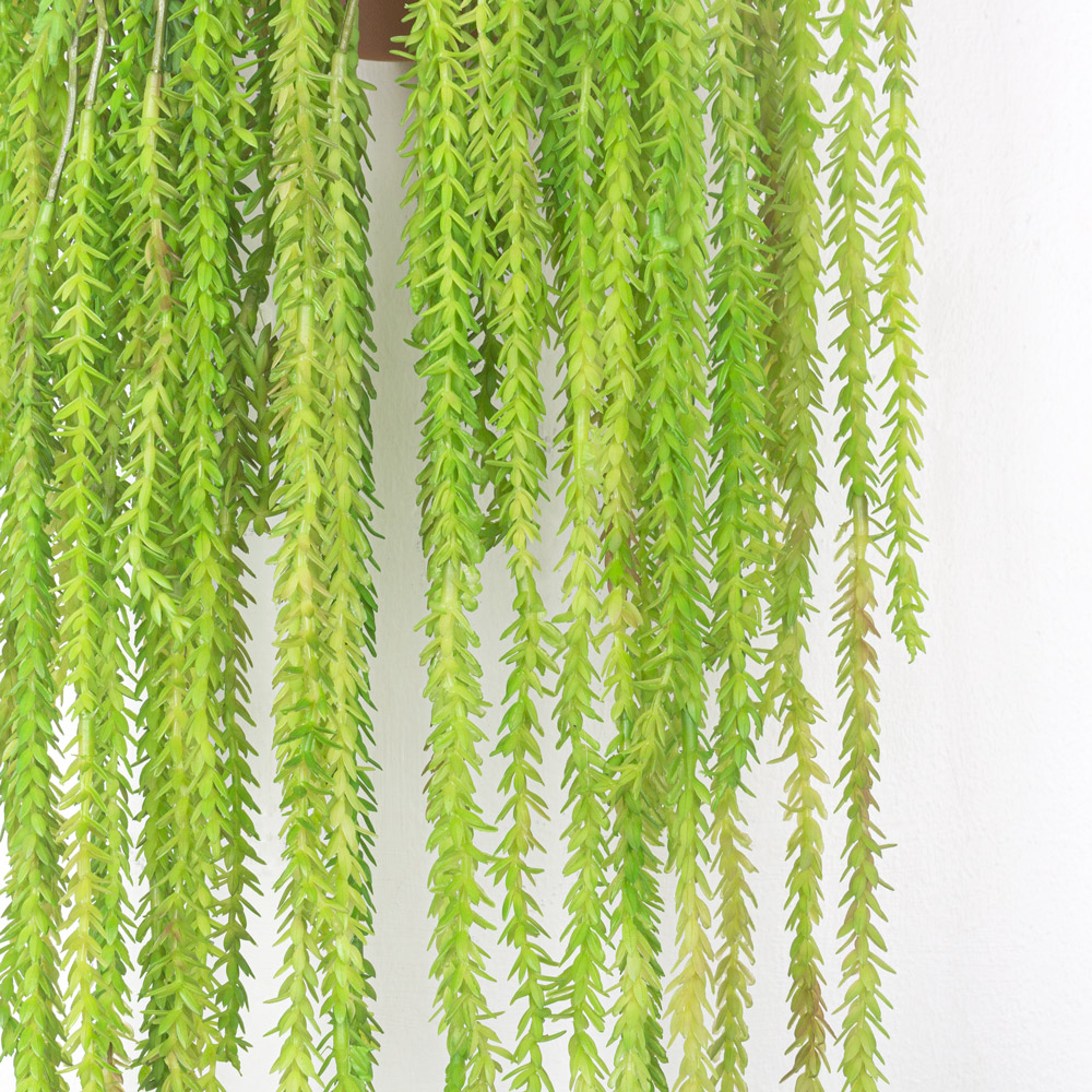 КС80 Мох-елочка Крассула ампельная(силикон) в кашпо d11см_8