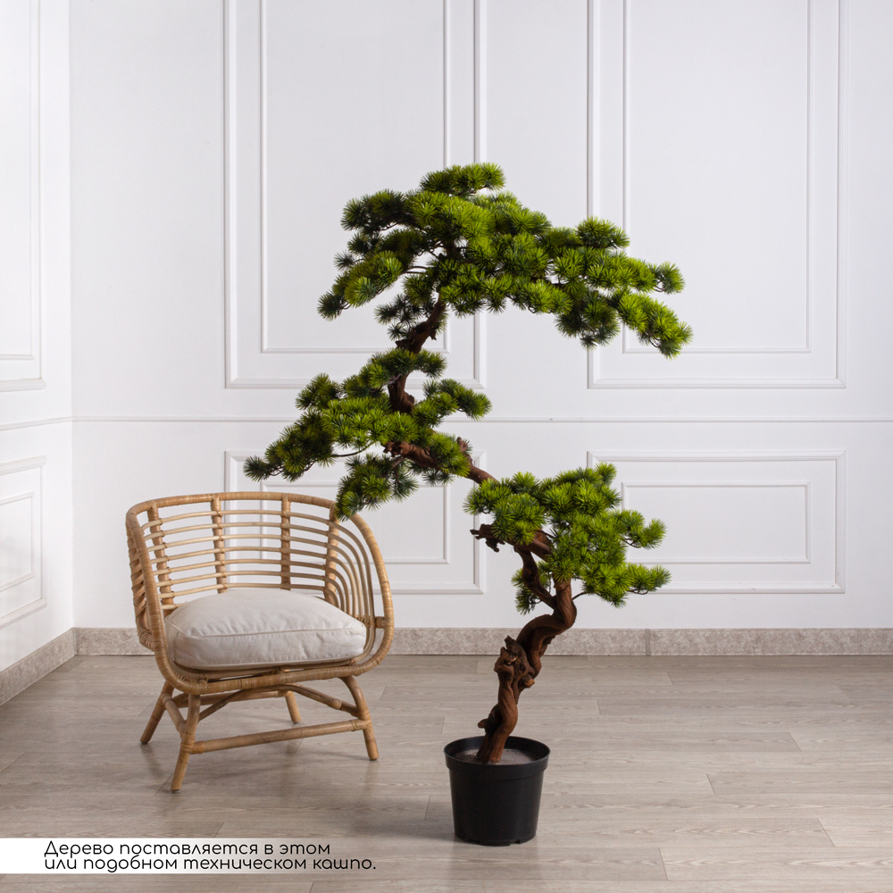 БС160/ОСИ/520 Бонсай искусственный Сосна h160см _2