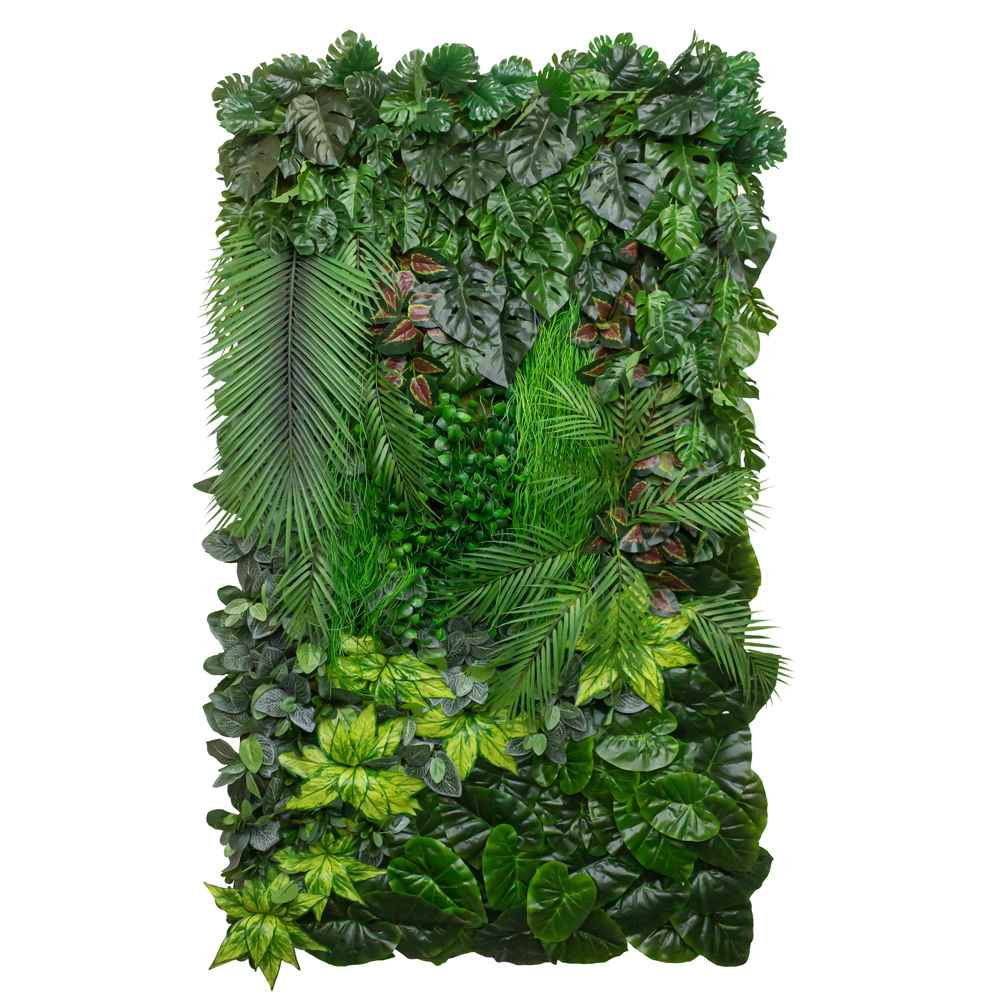 Фитостена 61_3