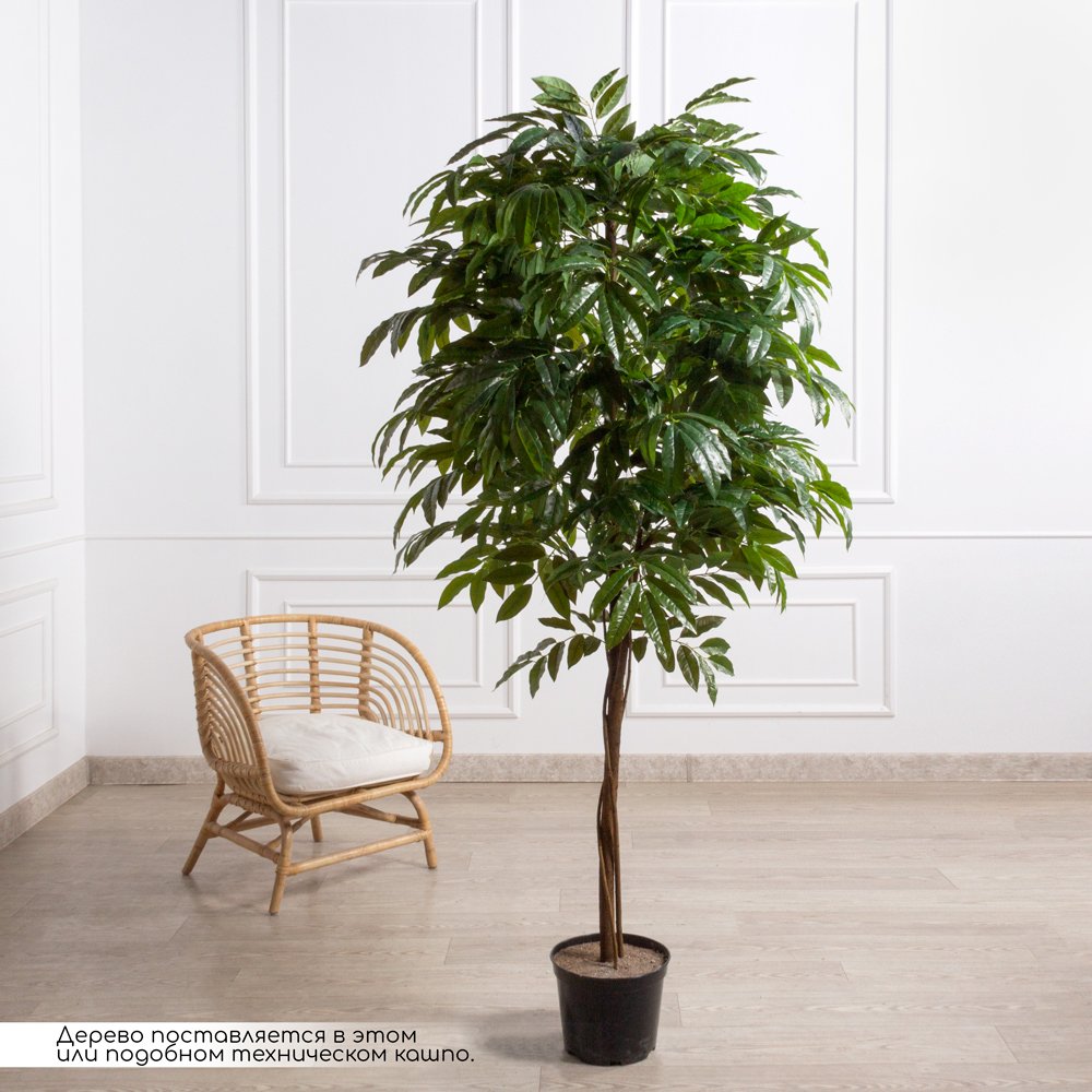 200/РН/220(F) Манго искусственное без плодов h200см (латекс), d22см_1