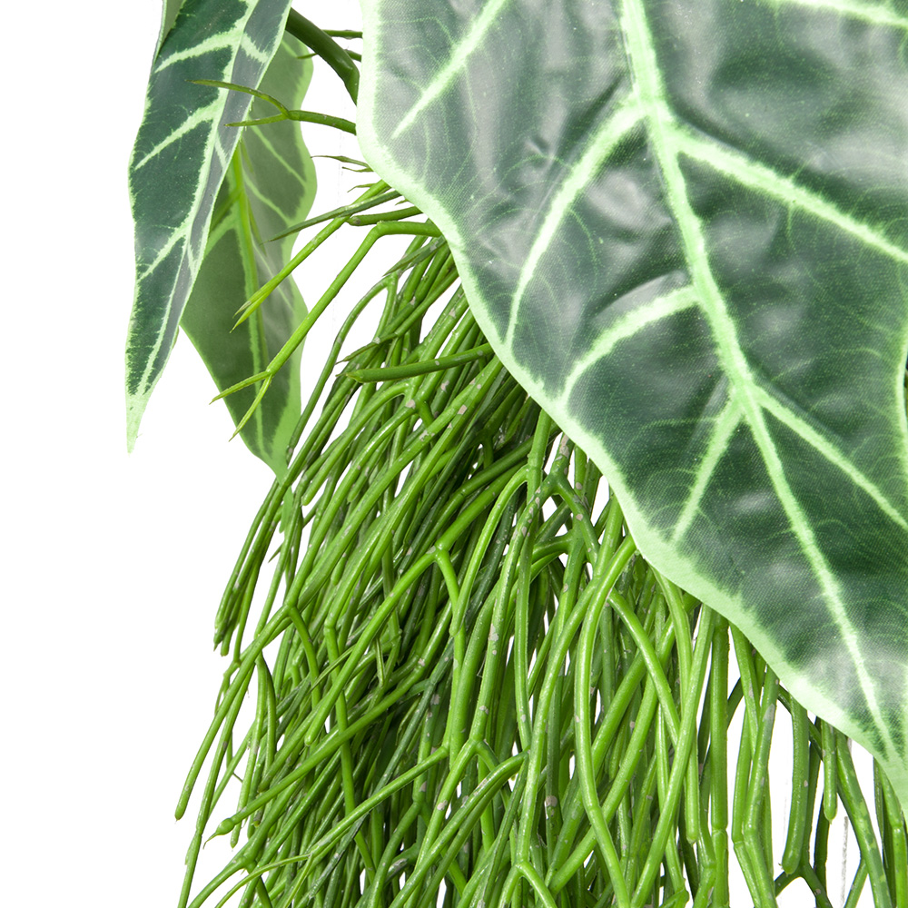 БК 17 Композиция с Алоказией на блоке 15*h10_23