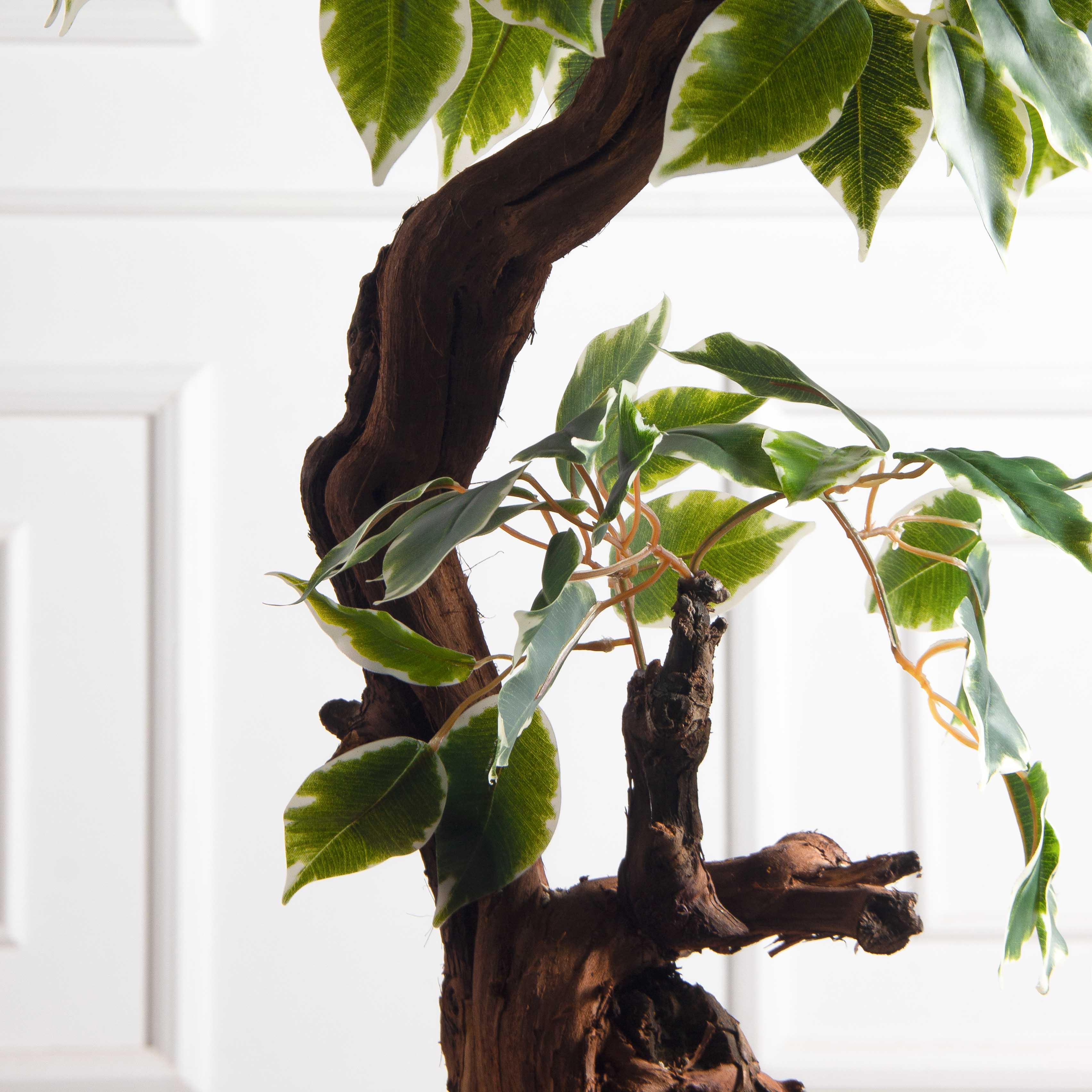 БЛ055/2К/ОС/61-1(з)(F) Бонсай искусственный Фикус пёстрый h55см на круглом основании_5