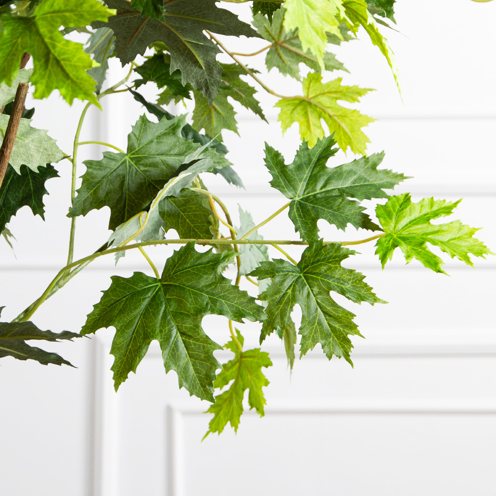 180/РН/ЭК/2900(Пр)(F) Клен искусственный h180см,зеленый_6