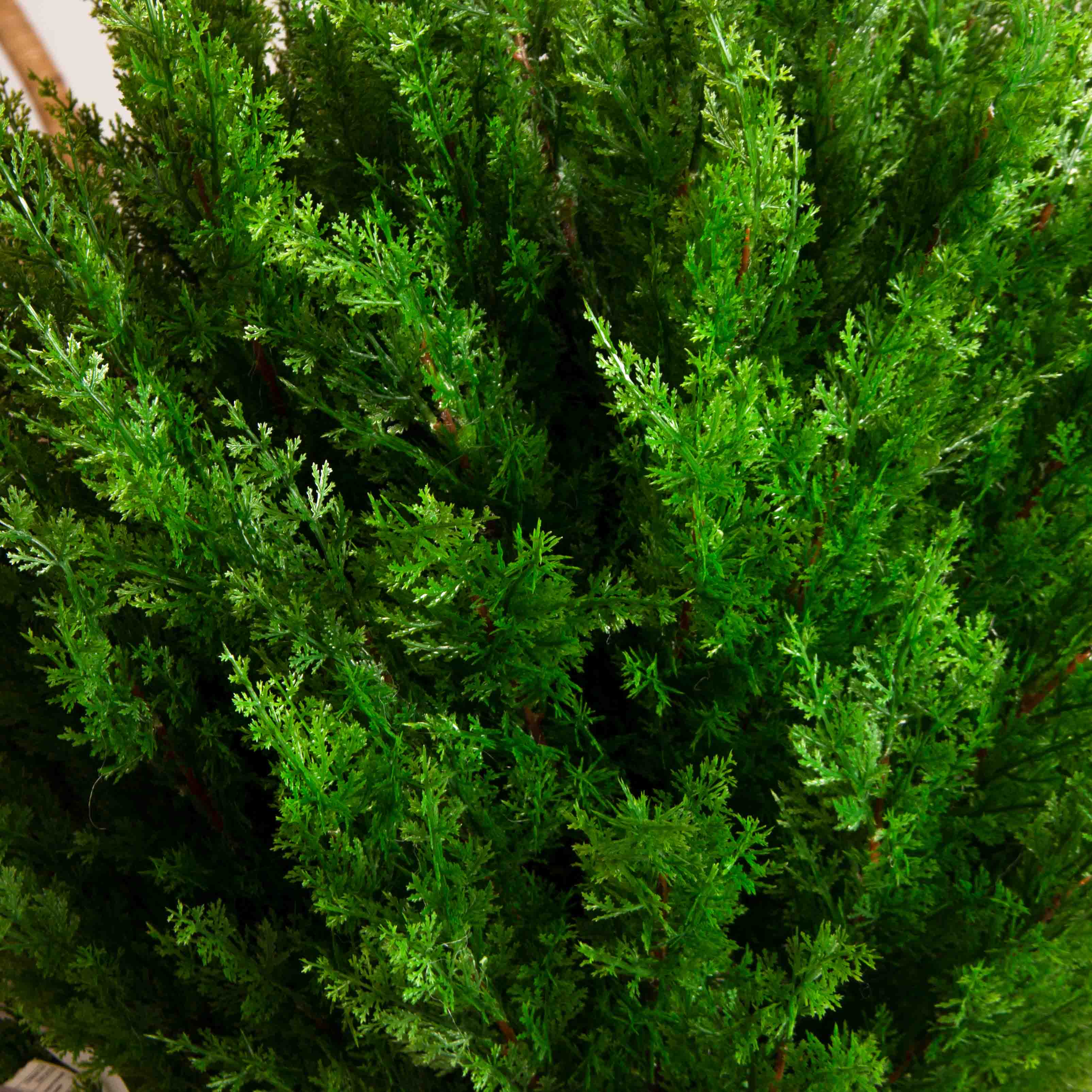 Т060/201(з)(F) Туя-шар искусственный Элеганс h70см, d60см в кашпо_5