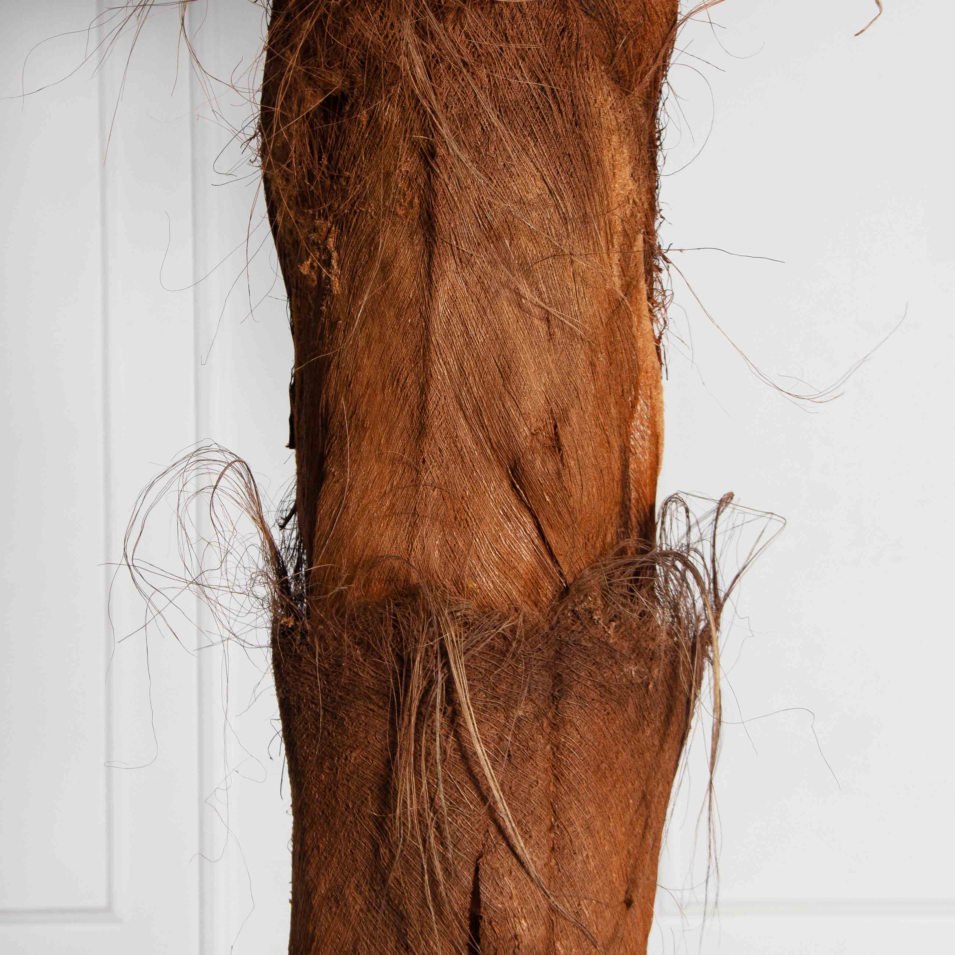 ПС350/ТР/49СТ(Пр)(F) Пальма Арека искусственная h350см (латекс) на мет.основании_3