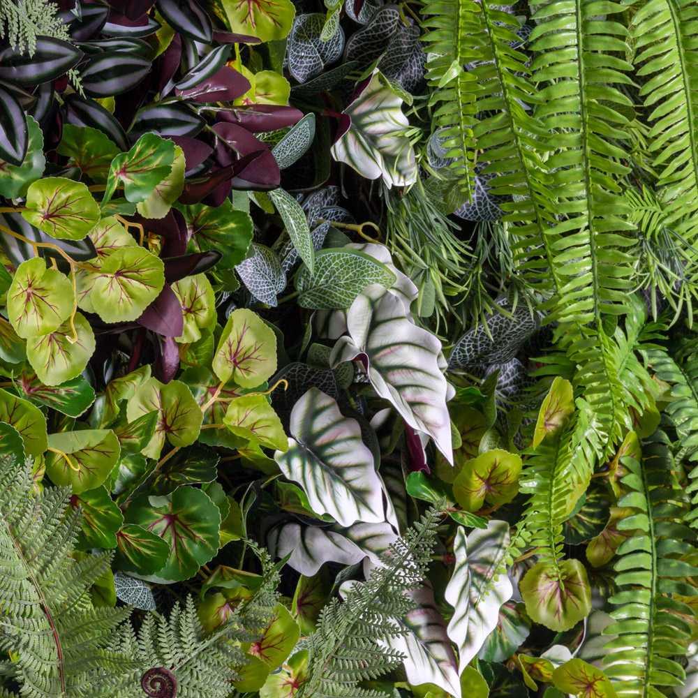 ФТС156-1 Фитостена _11