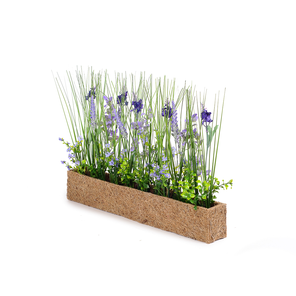 Б007 Бордюр Лаванда h29см в кокосовом боксе 50*7*8