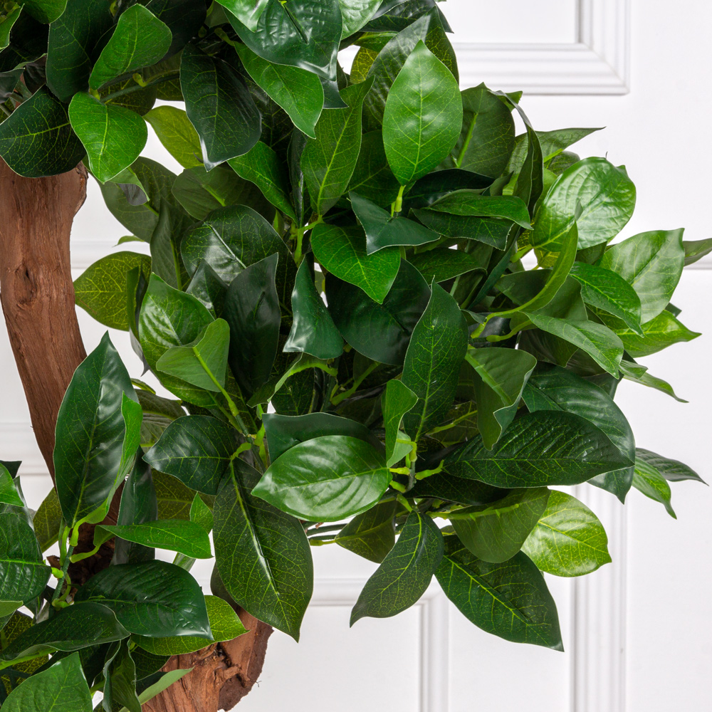 120/ОС/3К/190(з) Лавр искусственный камфорный h120см (латекс) _2