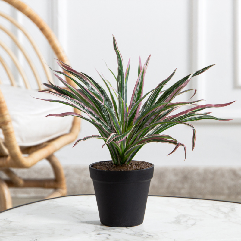 КС47-1(FixS)(Пр)(F) Драцена искусственная h20см в кашпо d11см,зелено-бордавая_1