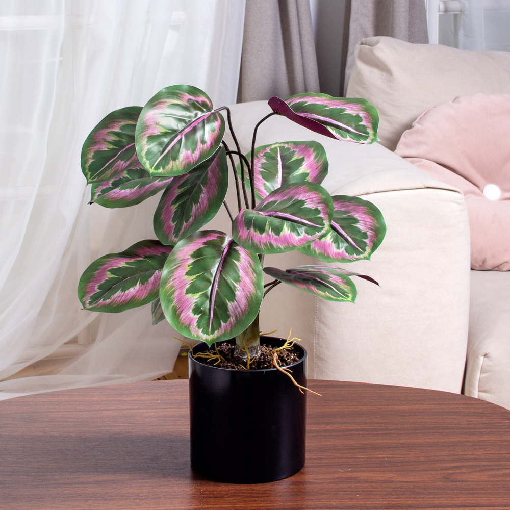 ЦС214(F) Калатея искусственная зелёно-фиолетовая_5