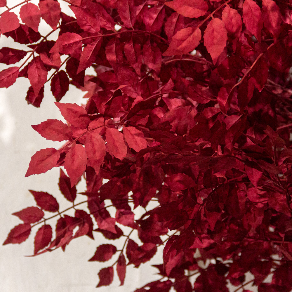 350/ОС/604(з)(УУ)(F) Дерево искусственноеинтерьерное h350см d210см_4