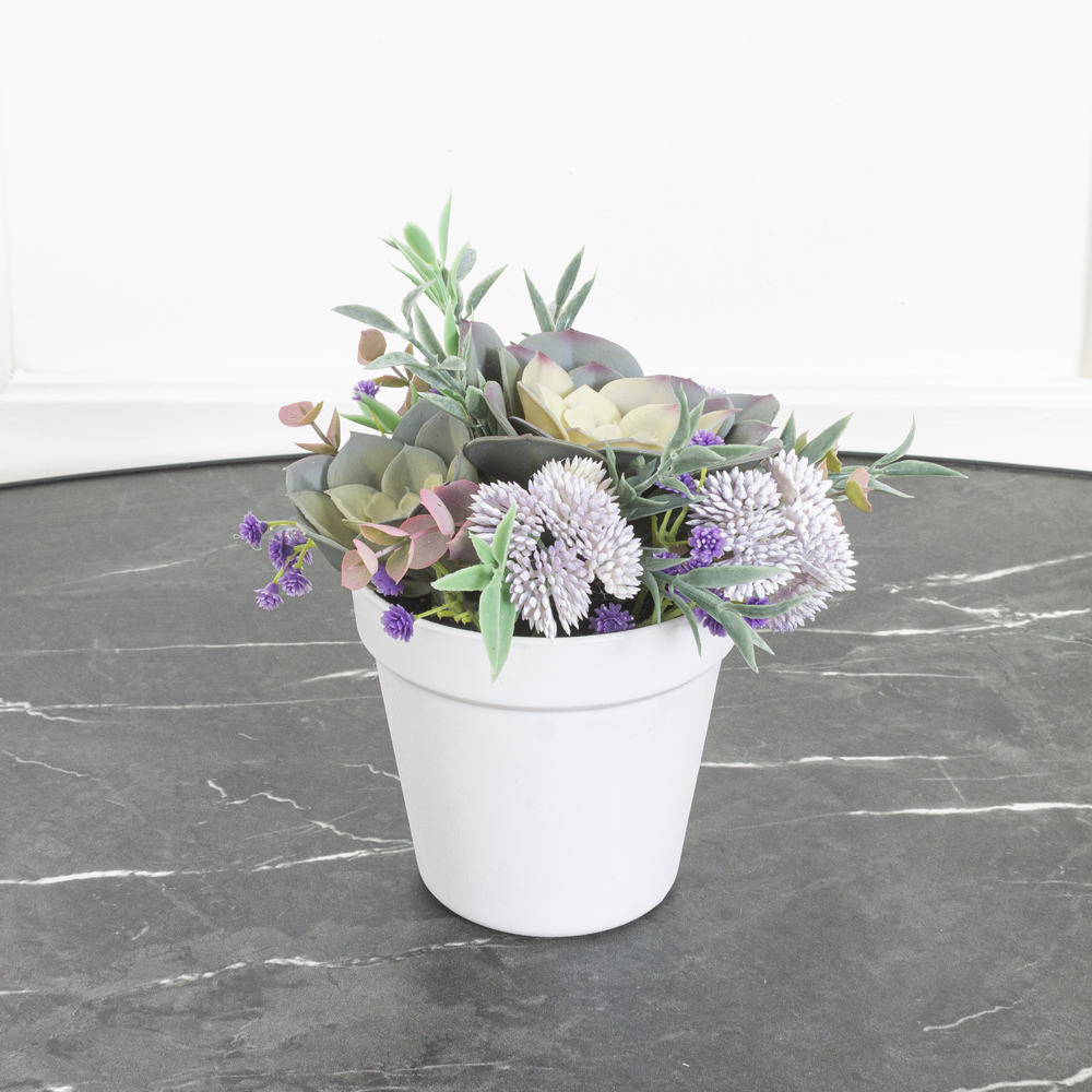 СКК09-2(МД) Суккулент (х2) (голубой)_5