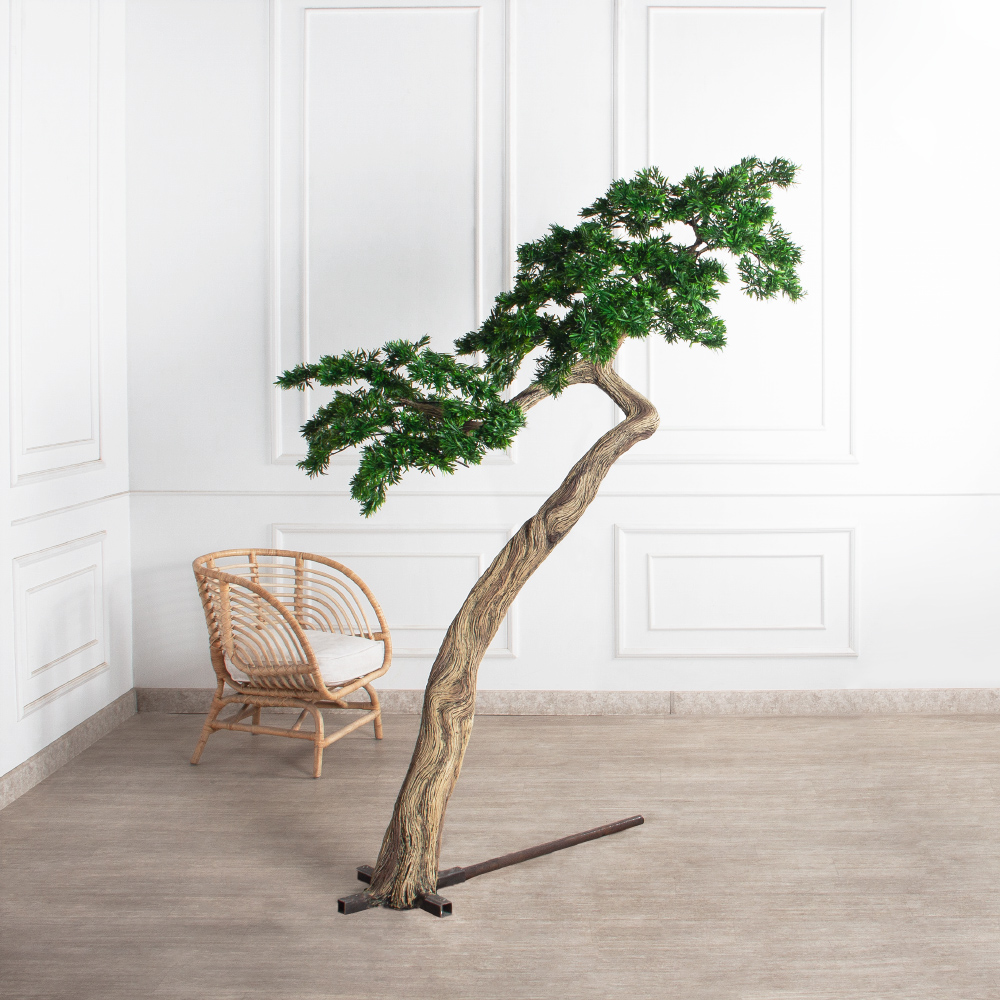 210МЕТ/АСС/241(з)(F) Подокарпус интерьерный h180 d150см_4