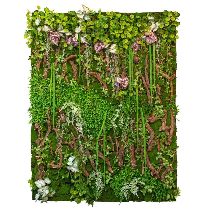 Фитостена 137_2