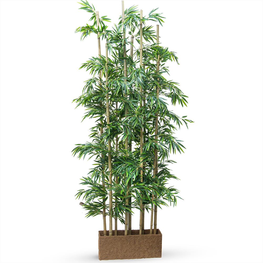 Ш250/75 Ширма бамбук h250 в кокосовом боксе 65*15*h20_1