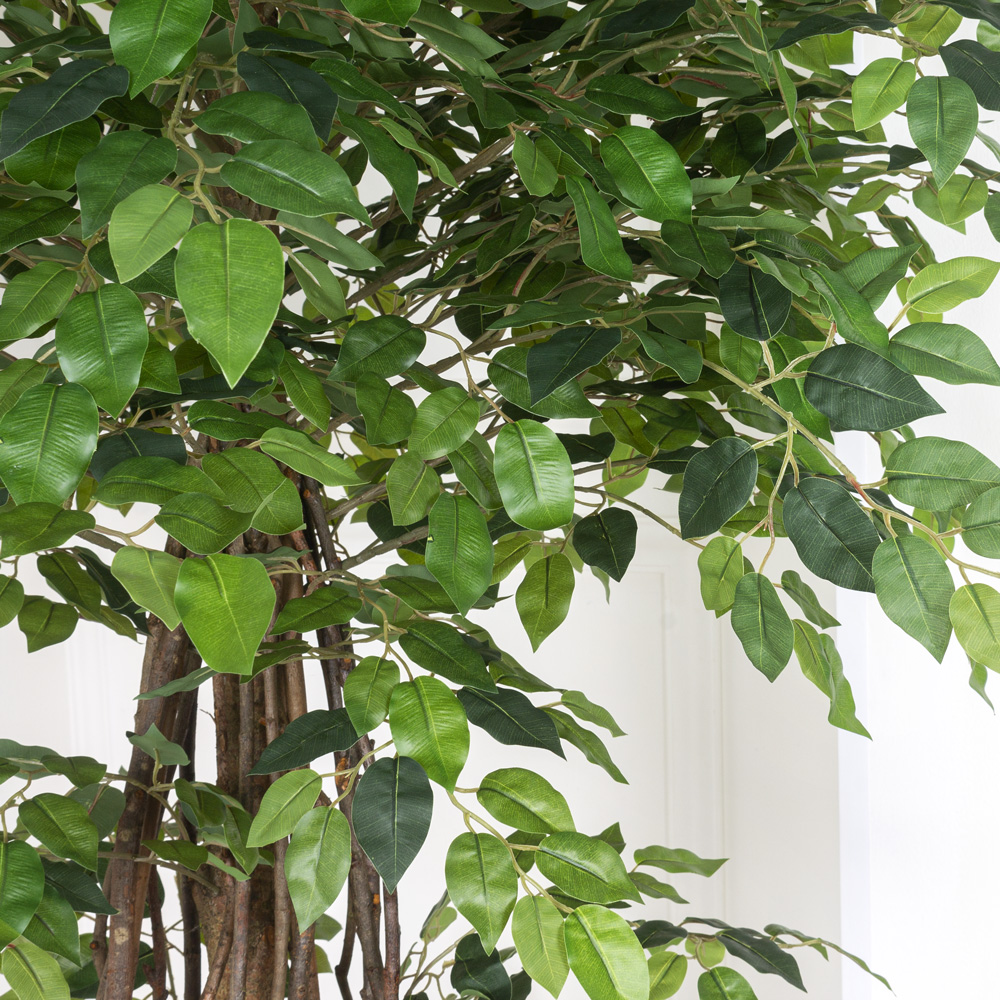 180/ССТК/35 Фикус h180см (латекс) _7