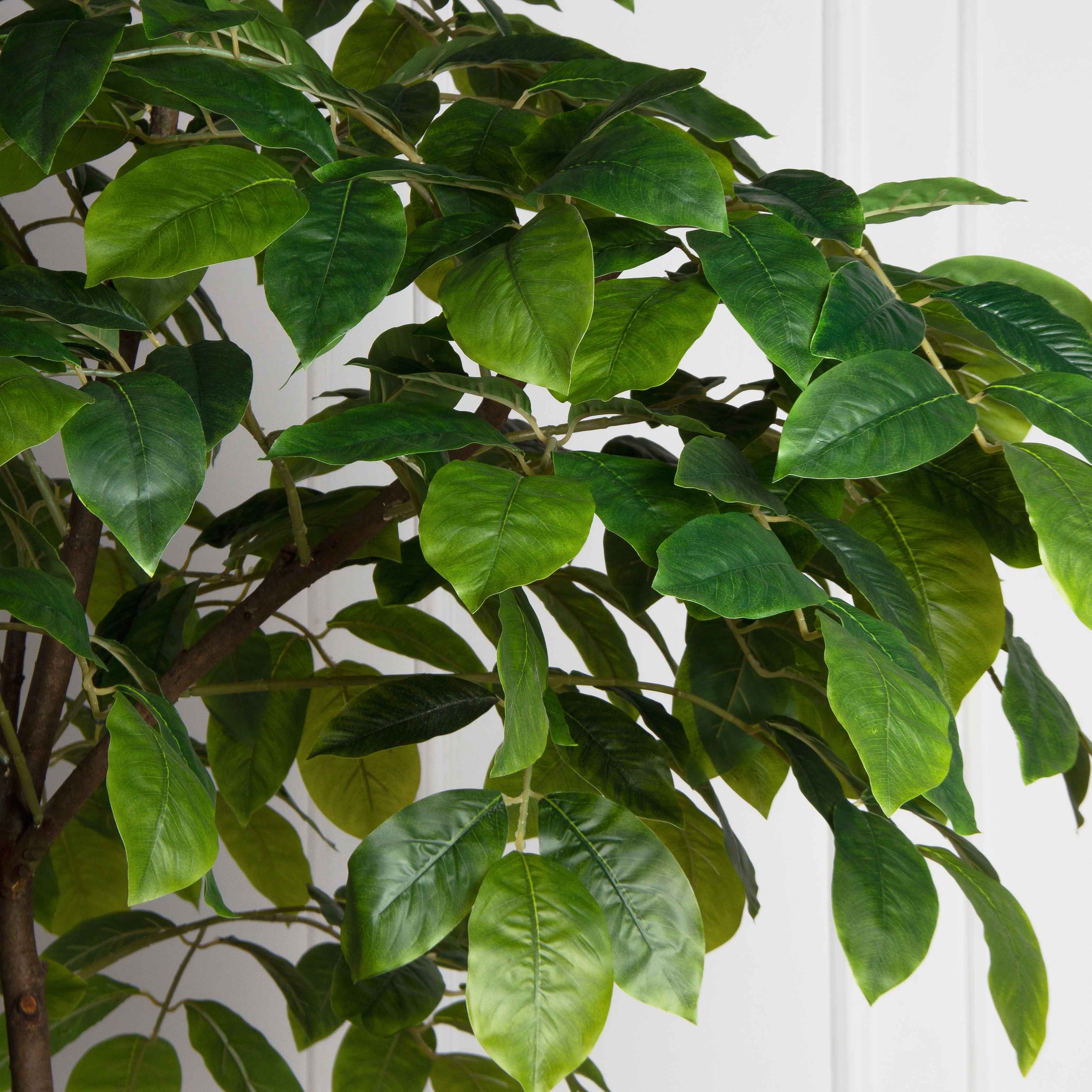 240/РН/АСС/618(Пр)(F) Магнолия искусственная h240см_3