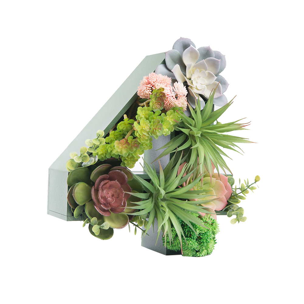 Логотип 1,2,3,4,5 с суккулентами (143*h27см)_9