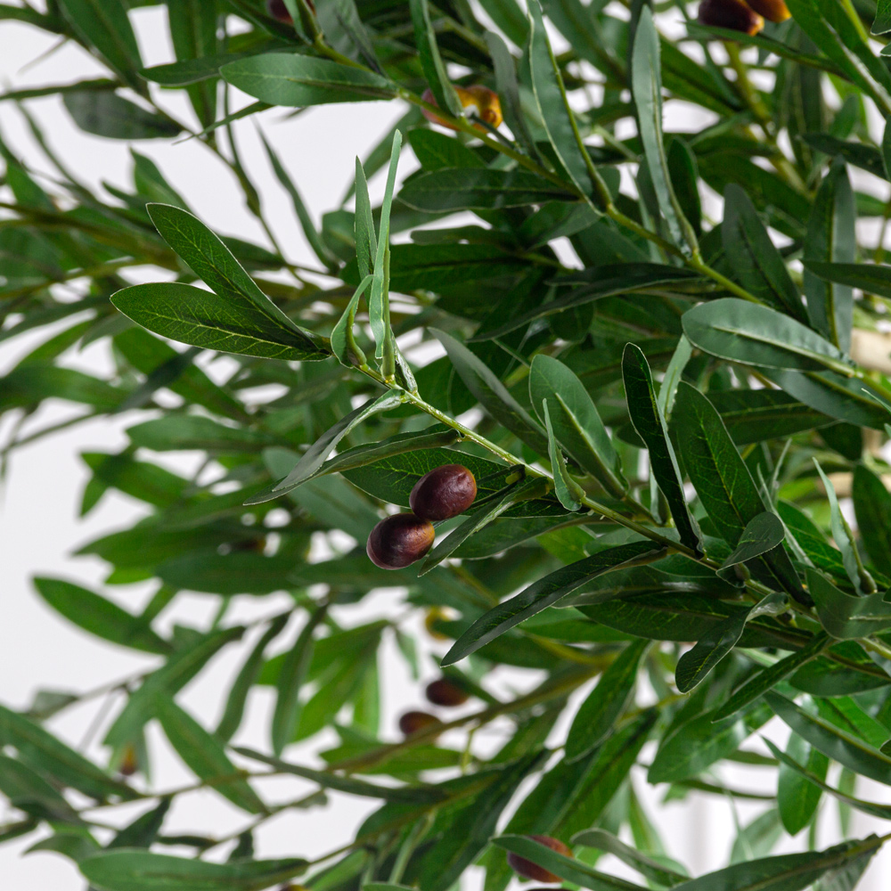 220/ДА/4655(Пр)(F) Оливковое дерево искусственное с плодами h220см, латекс_6