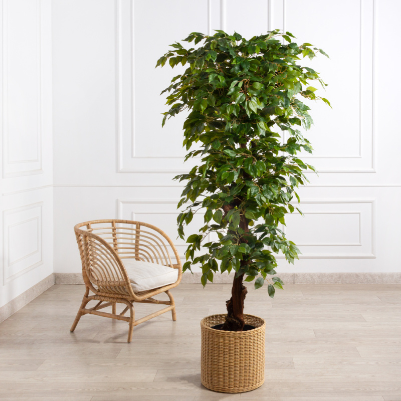 180/Я3/ОС/34(F) Фикус искусственный h180см (латекс)_7