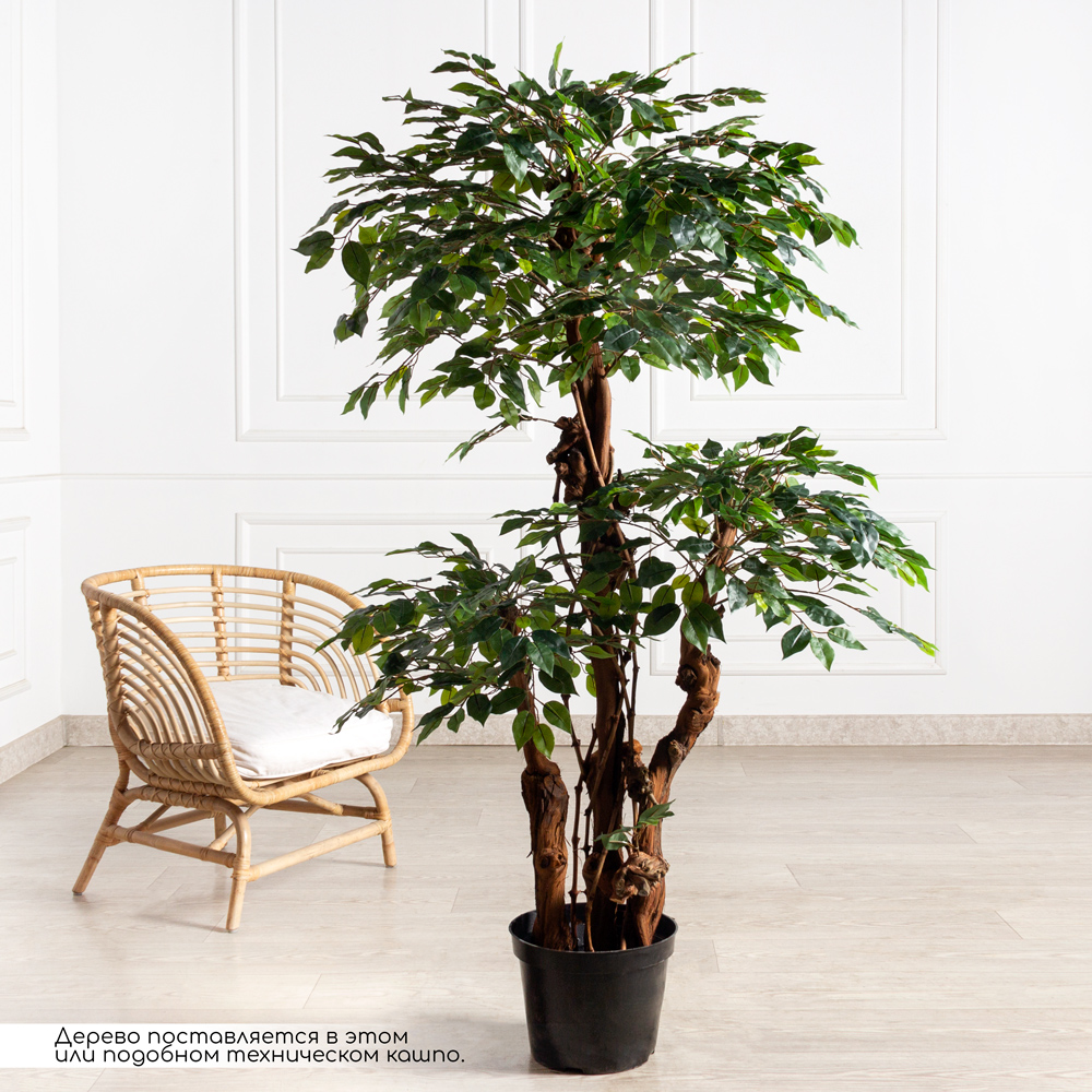 170/3К/ОС/Р/34(з)(Пр)(F) Фикус искусственный  h170см (латекс)_1