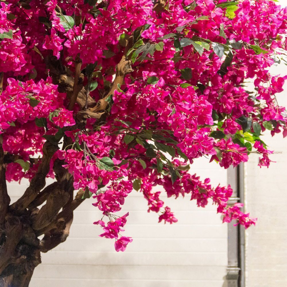 350/ОС/434(з)(УУ)(F) Бугенвилле́я искусственная h350см, d250см на основании 100х70см_4