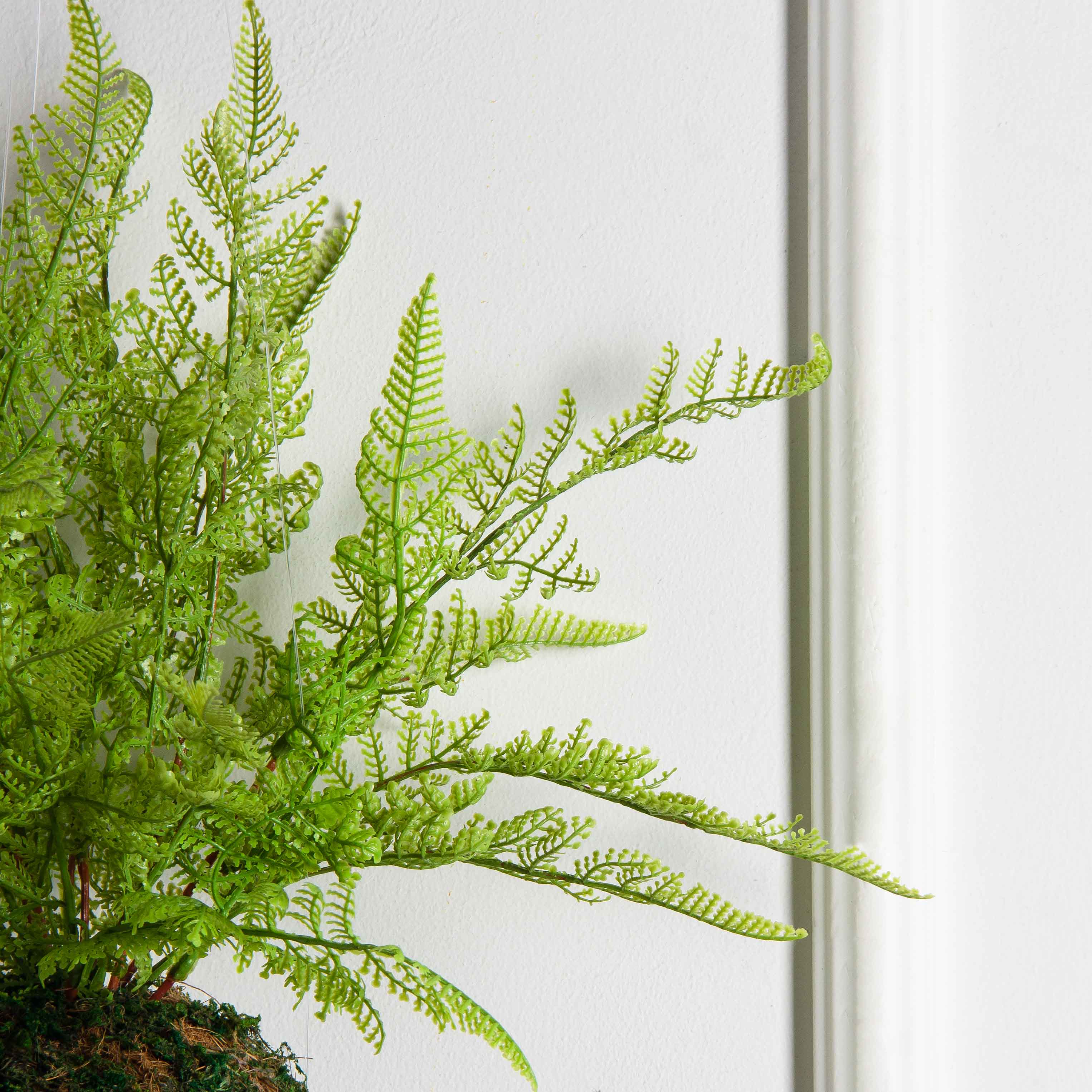 ККД38/160(F) Кокедама d15см 