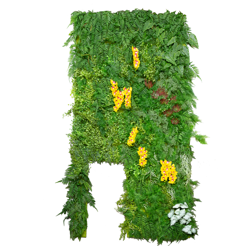 Фитостена 93 Микс из папоротников_5