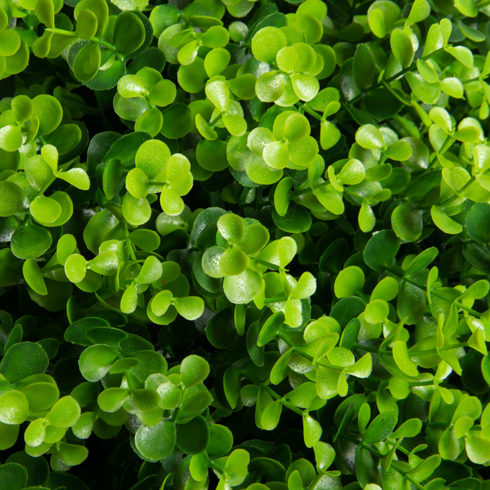 СШК110/2288(F) Самшит-шар d70см 