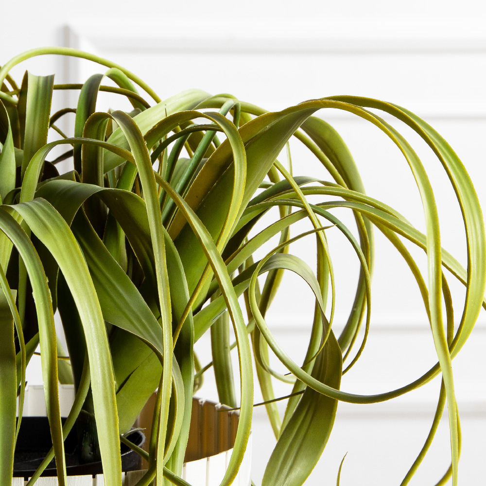 К571(з)(F) Композиция искусственная с тилландсией в кашпо_5