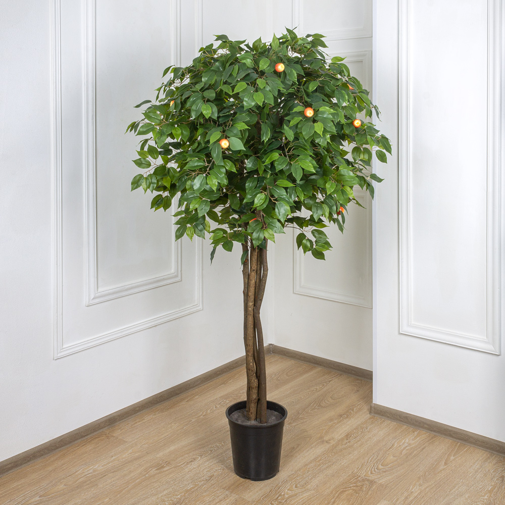 180/РН/35 Яблоня h180см(латекс)_4