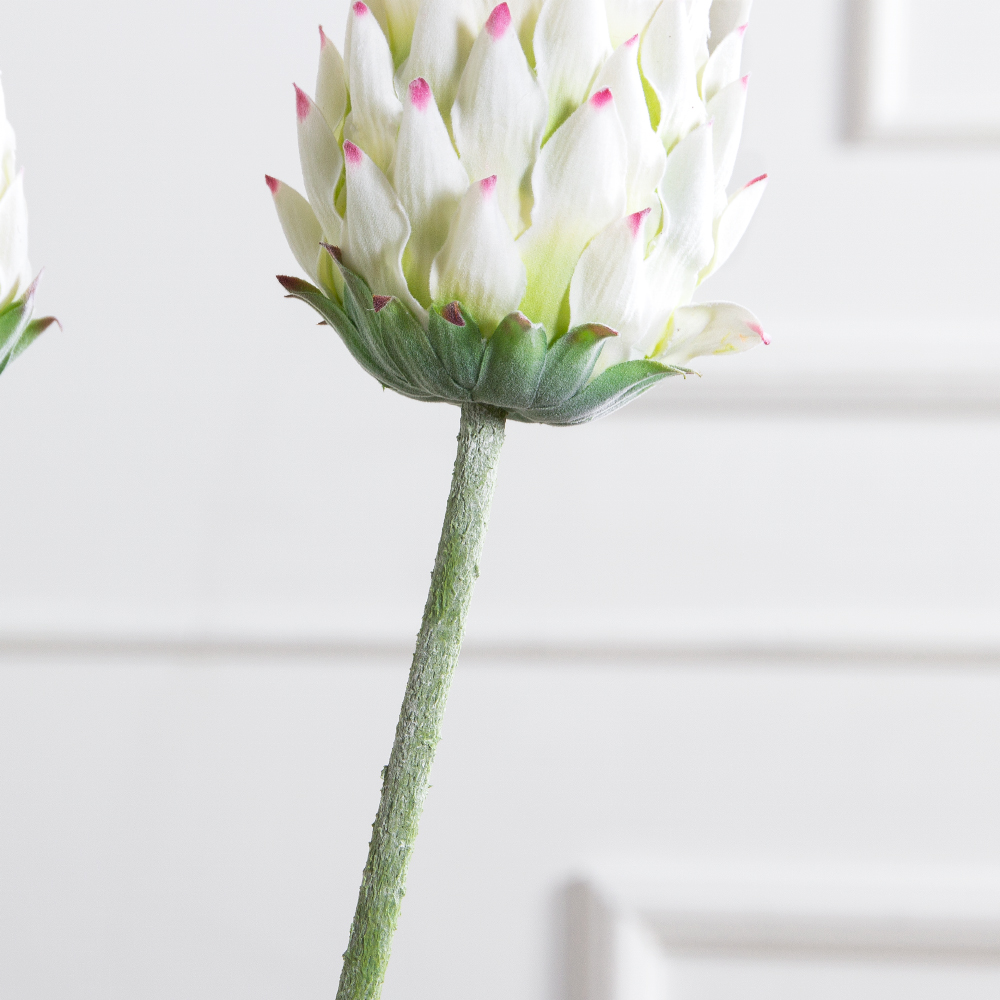 7141А/0287-0341/23(F) Протея искусственная h70см(голова 10см d7см) белая_3