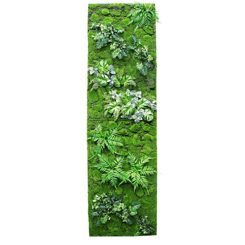 Фитостена 122 (1кв.м)_1