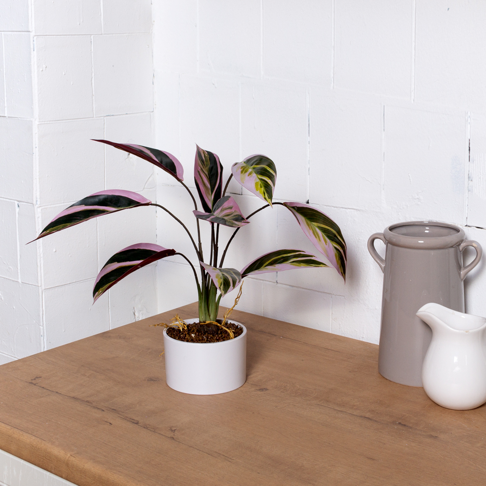 ЦС2122-2(F) Калатея искусственная Строманта,  розово-зеленая_1