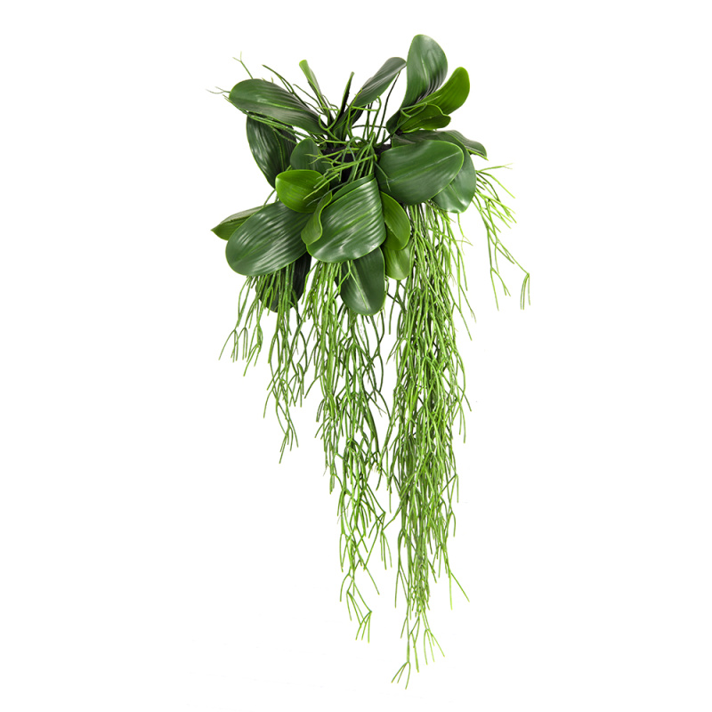 БК 07 Композиция с рипсалисом на блоке 15*h10