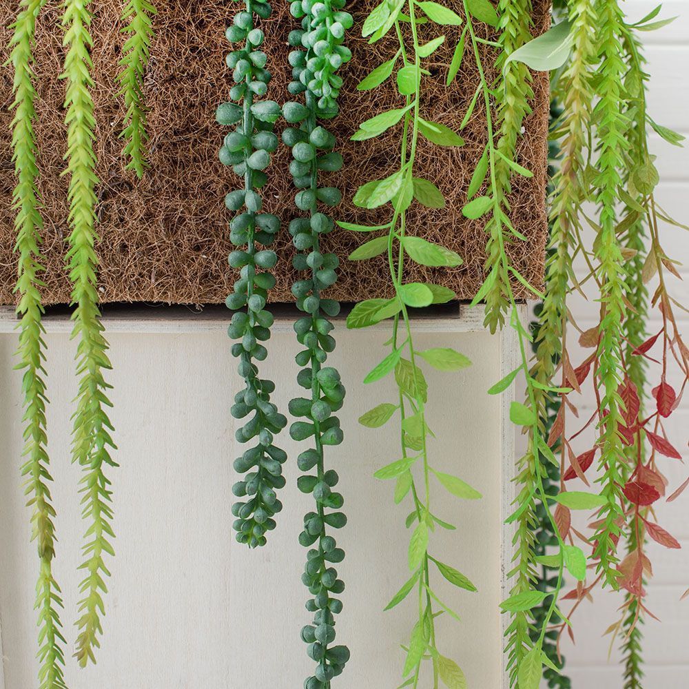 СКК14/7-3(з.) Композиц.из голуб.суккул.с зеленью в к.б(25х27х16,5)_3