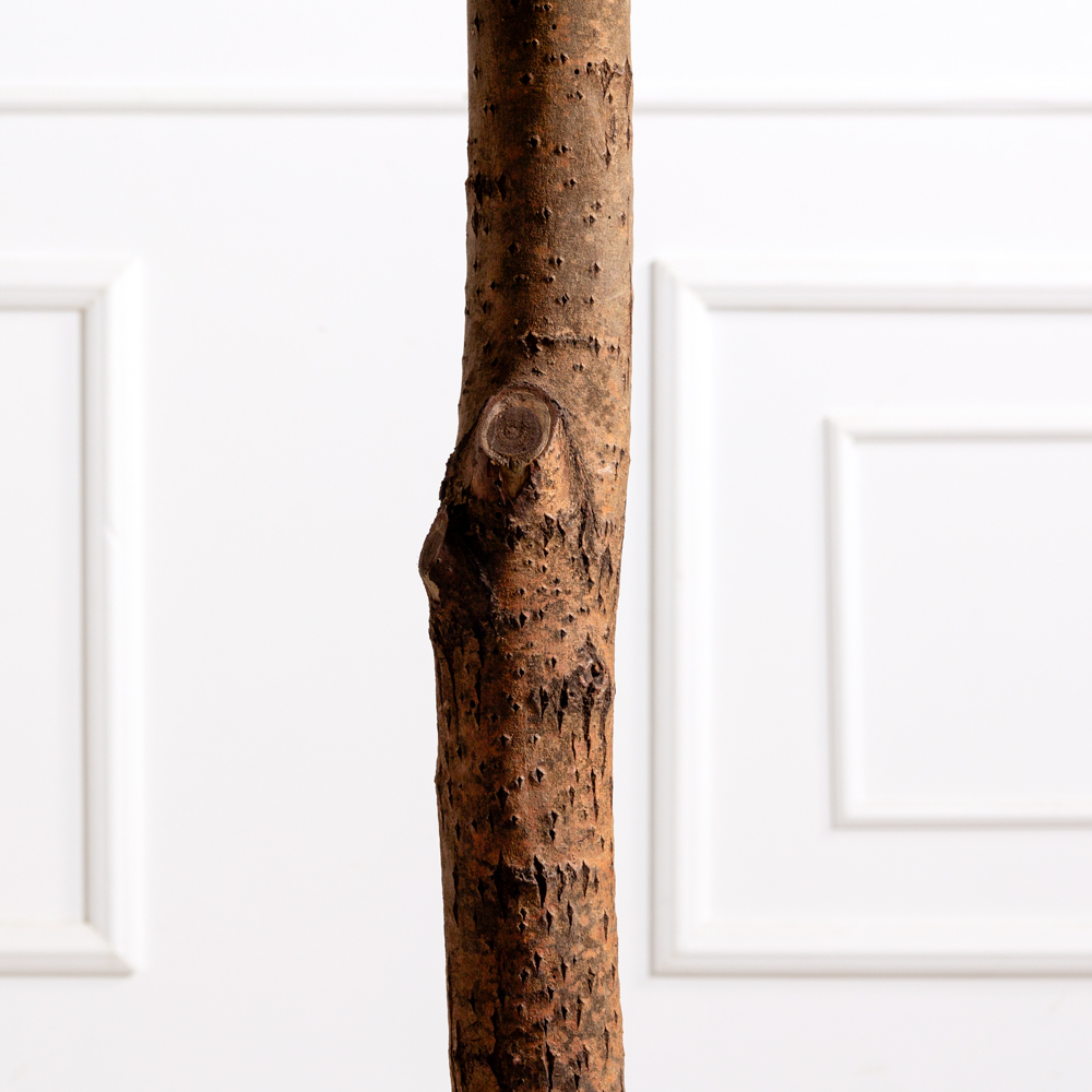 210/ШК/222(з)(F) Дуб искусственный h210см,диаметр кроны 150см на основании со мхом d55см_3